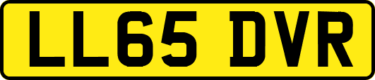 LL65DVR