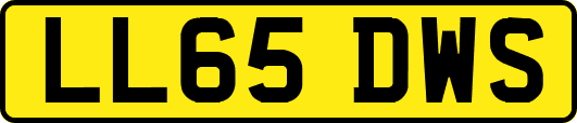 LL65DWS