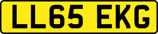 LL65EKG