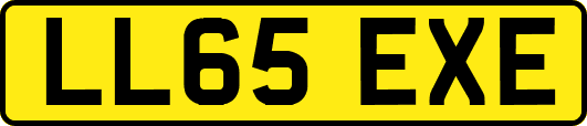 LL65EXE