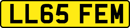 LL65FEM