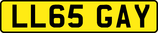 LL65GAY