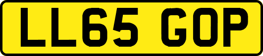 LL65GOP