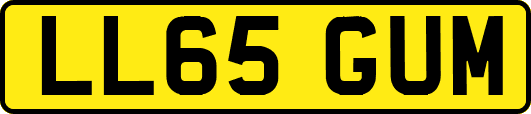 LL65GUM