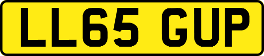 LL65GUP
