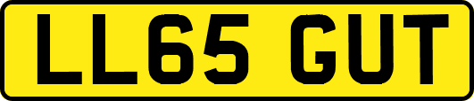 LL65GUT