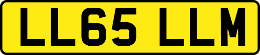 LL65LLM