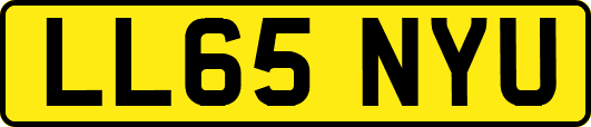 LL65NYU