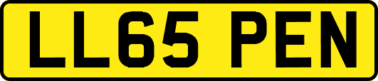 LL65PEN