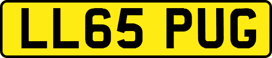 LL65PUG
