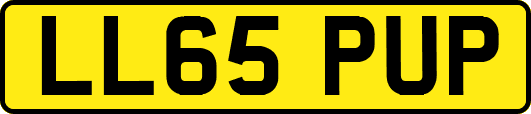 LL65PUP