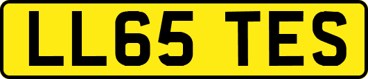 LL65TES