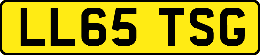 LL65TSG