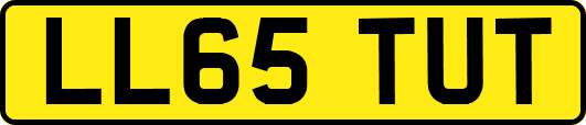 LL65TUT