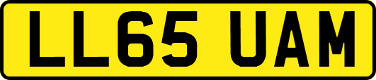 LL65UAM