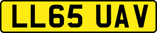 LL65UAV