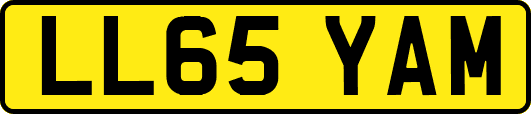 LL65YAM