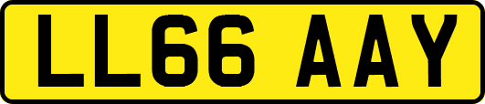LL66AAY