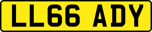 LL66ADY