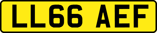 LL66AEF