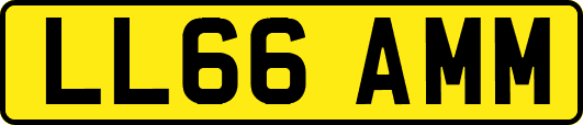 LL66AMM