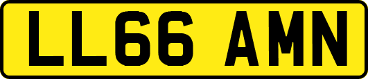 LL66AMN