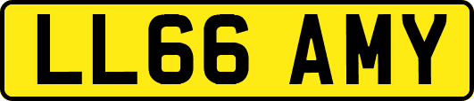 LL66AMY