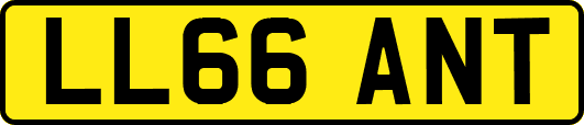 LL66ANT