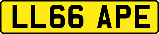 LL66APE