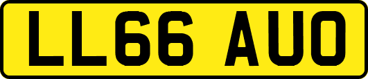 LL66AUO