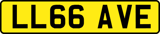 LL66AVE
