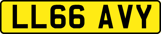 LL66AVY