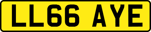 LL66AYE