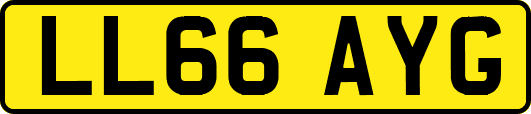 LL66AYG