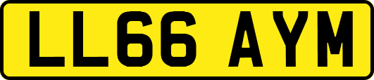 LL66AYM