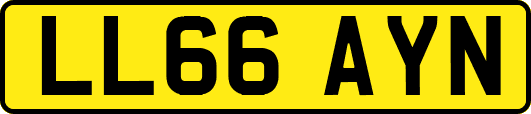 LL66AYN