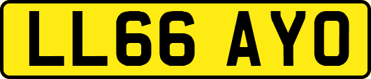 LL66AYO