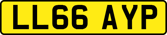 LL66AYP