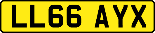 LL66AYX