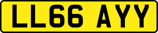LL66AYY