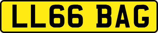 LL66BAG
