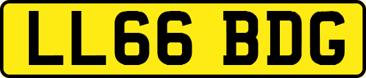 LL66BDG