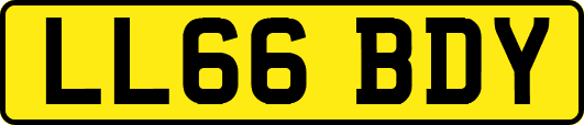 LL66BDY