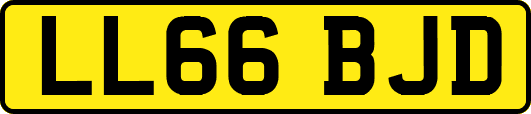 LL66BJD