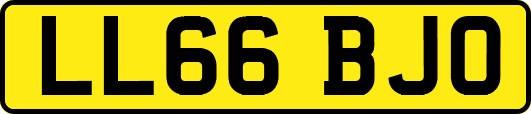 LL66BJO