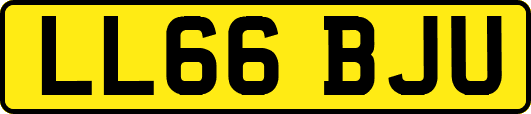 LL66BJU