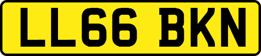LL66BKN