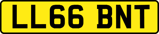 LL66BNT