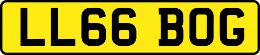 LL66BOG