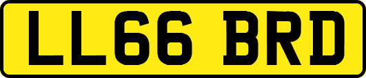 LL66BRD
